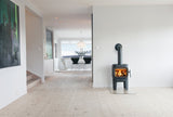 Jotul_F_105_LL_JT_00124_1920