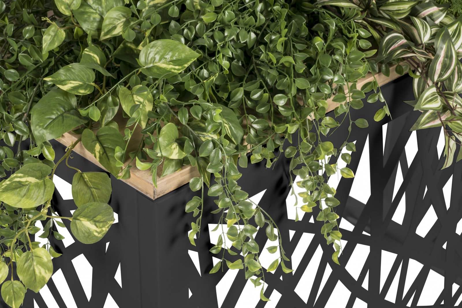 vegetaliser-un-cache-clim